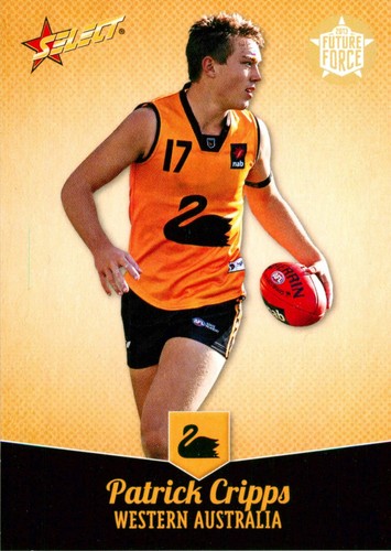 2013 carlton blues - blues, select